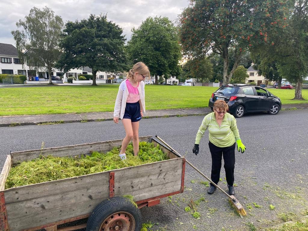 Cutting the front garden of house no 185