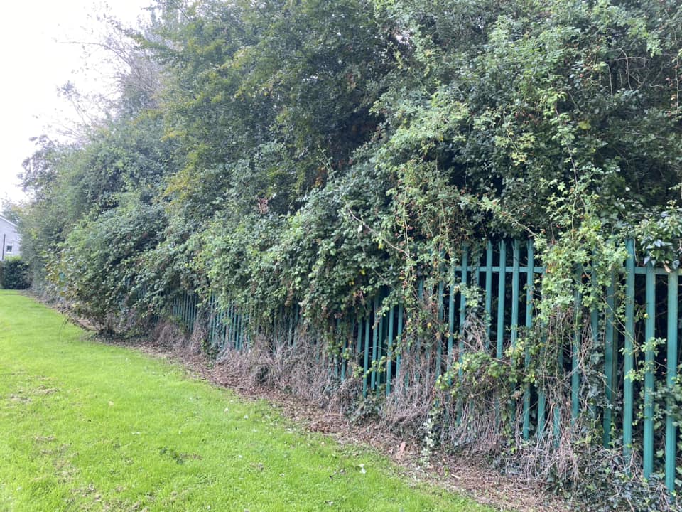 Cutting overhanging park branches