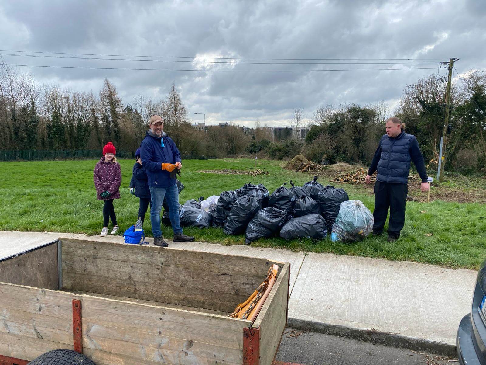 Silverlawn big bush clean up