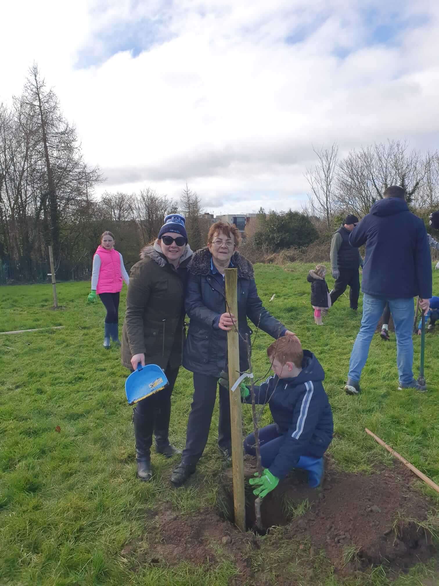 Apple tree planting in Silverlawn