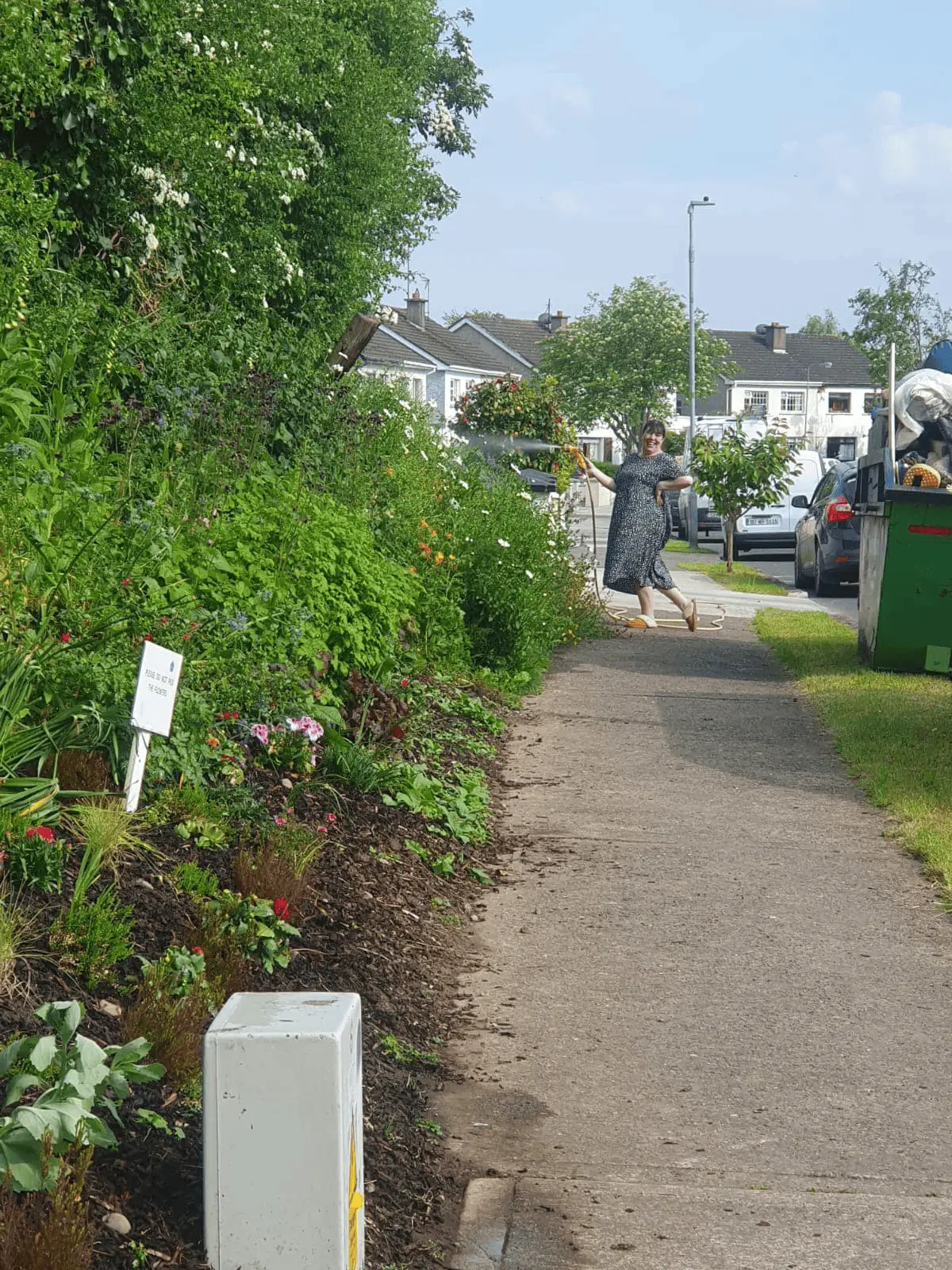 Annual Silverlawn Clean-up day 2024