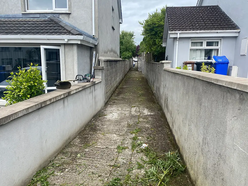 Alleyway cleanup in June