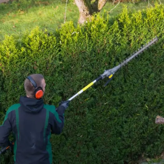 Petrol Pole Hedge Trimmer